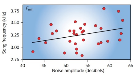 When there are high background noise levels great tits adapt by singing at a higher pitch. Figure from Slabbekoorn and Peet (2003).