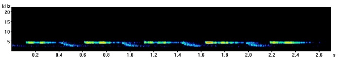 great-tit-spectrogram-starnberg